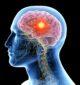 How does drug addiction affect the brain?