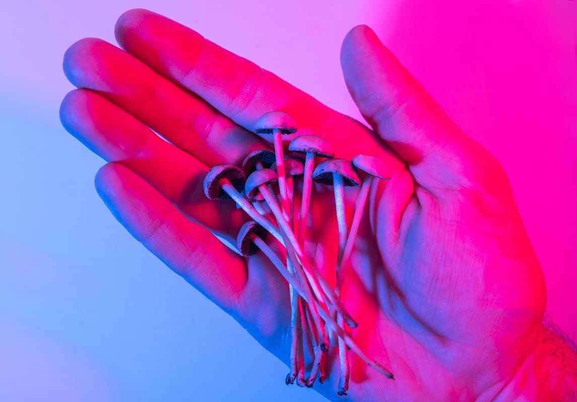 person holding Psilocybin mushrooms